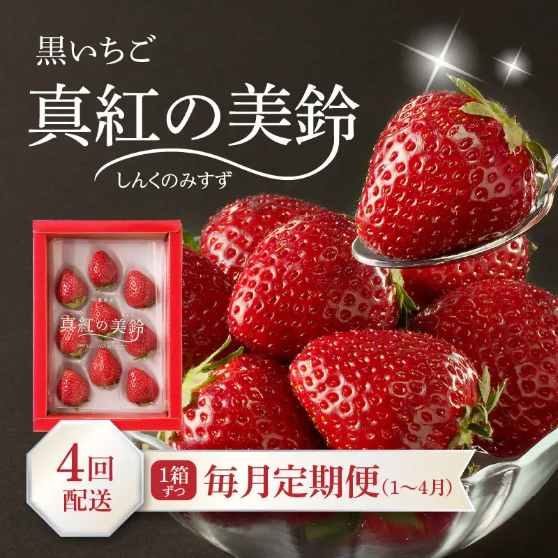★予約受付★玄海町産いちご“真紅の美鈴（しんくのみすず）” 毎月定期便｜苺 果物 フルーツ 旬 定期便【Z040】