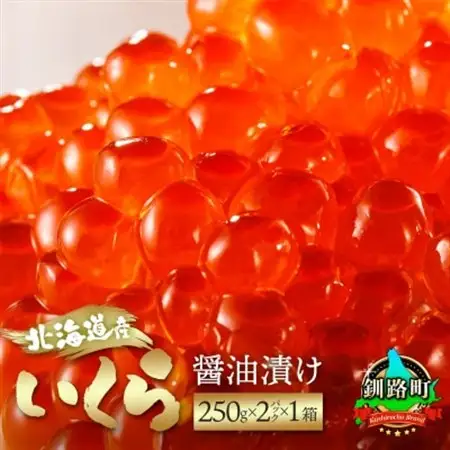 いくら醤油漬け ＜250g×2パック 500g＞×1箱 北海道産の鮭卵【配送不可地域：離島】【1121170】