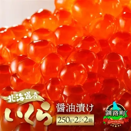 いくら醤油漬け ＜250g×2パック 500g＞×2箱 ＜北海道産の鮭卵＞【配送不可地域：離島】【1121171】