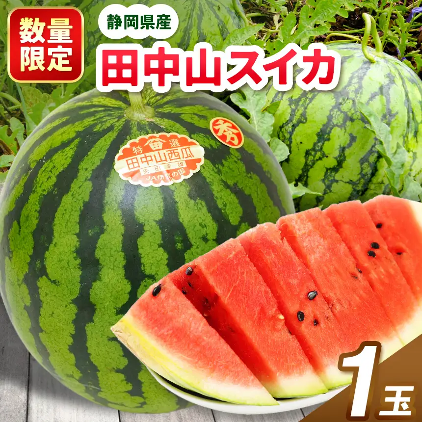 【先行予約】〈数量限定〉田中山スイカ（1玉）
