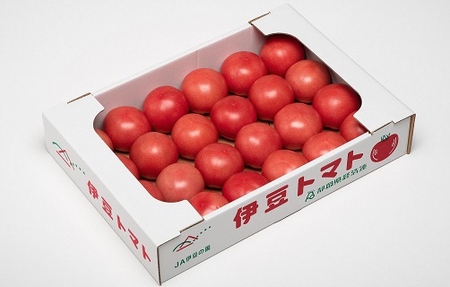 伊豆の国産！大玉トマト（4kg）