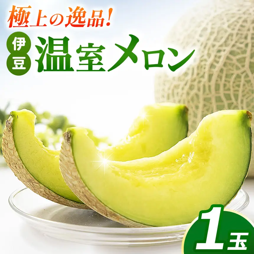 【先行予約】〈期間限定〉極上の逸品！伊豆温室メロン（1玉）