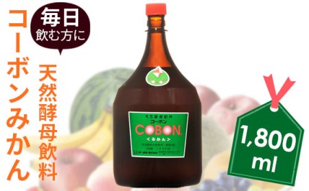 毎日飲む方に！天然酵母飲料「コーボンみかん」（1800ml×1本）