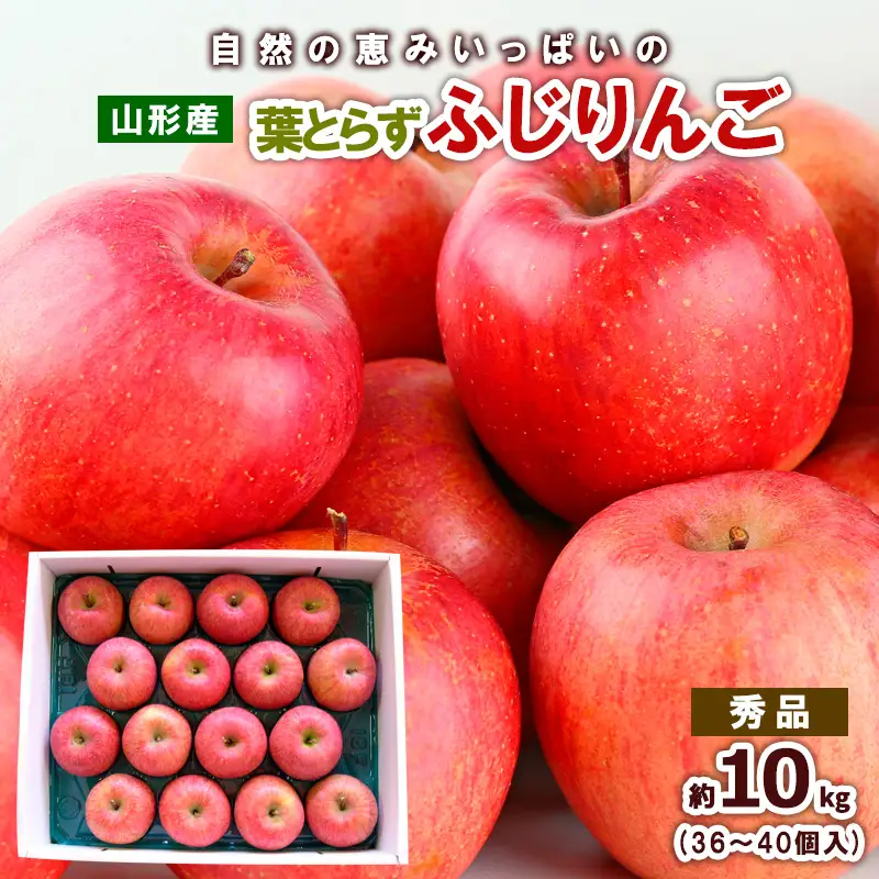 自然の恵みいっぱいの葉とらずふじりんご 約10kg(36個～40個) FY25-923