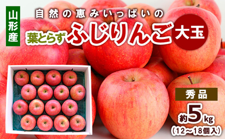 自然の恵みいっぱいの葉とらずふじりんご 大玉 約5kg FY25-924