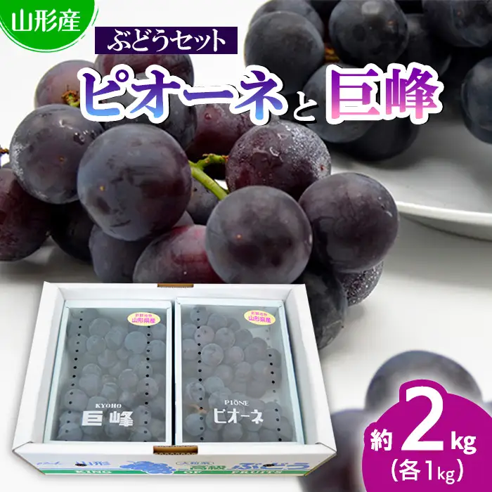 山形のぶどうセット 秀品 約2kg(ピオーネ1kg2房前後・巨峰1kg2房前後)[8月中旬～9月中旬お届け]【令和8年産先行予約】FS24-571 くだもの 果物 フルーツ 山形 山形県 山形市 2026年産