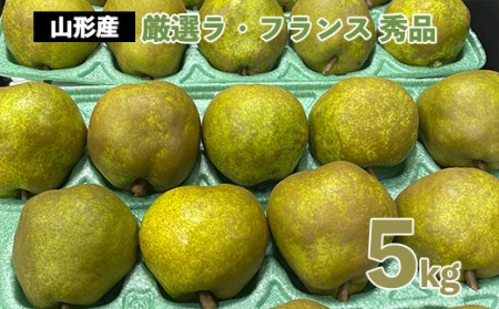 厳選ラ・フランス 秀品5kg FZ20-577
