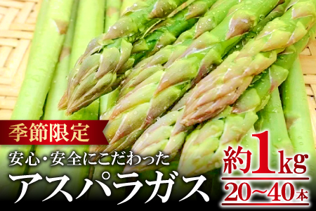 アスパラガス（約１ｋｇ）【季節限定 アスパラガス アスパラ 約1kg 20～40本 美味しまね認証 安心 安全 甘い とろける 初夏 野菜 初夏 塩ゆで 肉巻き おかず 期間限定 5月～9月上旬発送】