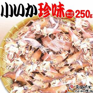 【中小 250ｇ】小いか珍味　国産無添加広島県産