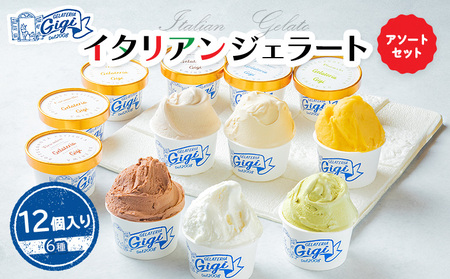 ジェラテリアGigiのイタリアンジェラート6種12個入アソートカップサイズ【43000101】