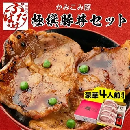 豚丼のぶたはげ「極撰豚丼セット4人前」_肉 豚肉 豚丼 セット ぶた丼 豚 ぶた ロース ロース肉 豚ロース スライス 真空パック 国産豚 たれ タレ 丼 おかず 惣菜 お弁当 北海道 帯広 ギフト プレゼント 冷凍 送料無料_【配送不可地域：離島】【1205703】