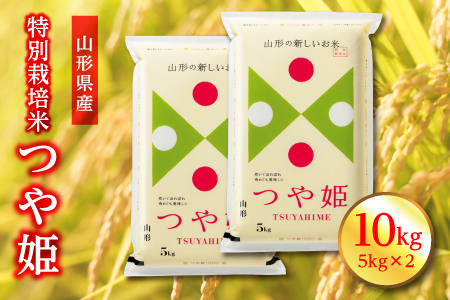 山形県産 特別栽培米 つや姫 精米 10kg(5kg×2) F2Y-3908