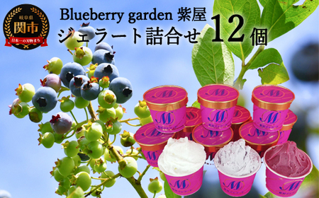 無農薬 自然農園紫屋ジェラート12個セット
