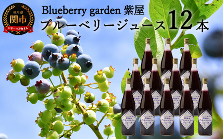 農薬不使用の自然農園 紫屋の【ブルーベリージュース】 12本 （720ml）
