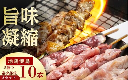 飛騨地鶏 焼き鳥10本セットA 5種(もも/皮/ふりそで/ぼんじり/せせり)  焼き鳥[Q294_u]
