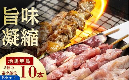飛騨地鶏 焼き鳥 10本セットB 部位5種類 もも 皮 ふりそで なんこつ はつ 希少部位 国産鶏肉 食べ比べ[Q295re]