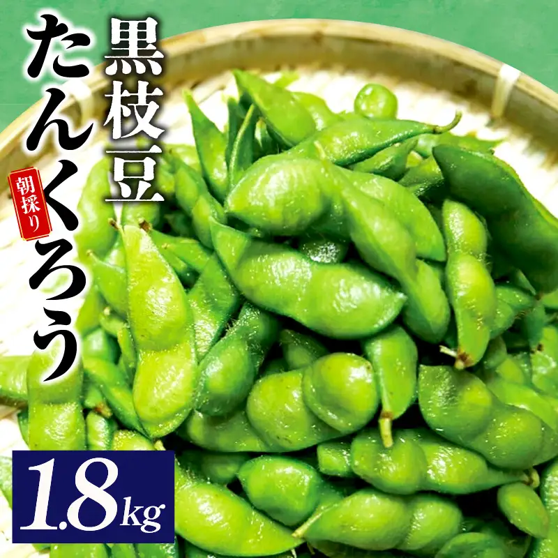 【畑から直送 朝採り】黒枝豆 1.8kg 