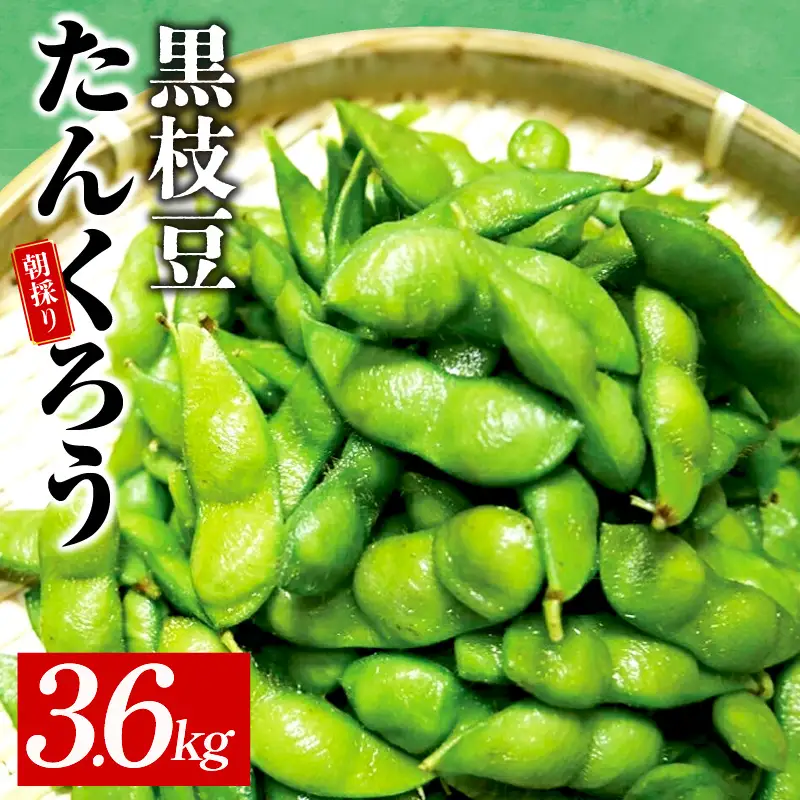 【畑から直送 朝採り】黒枝豆 3.6kg 