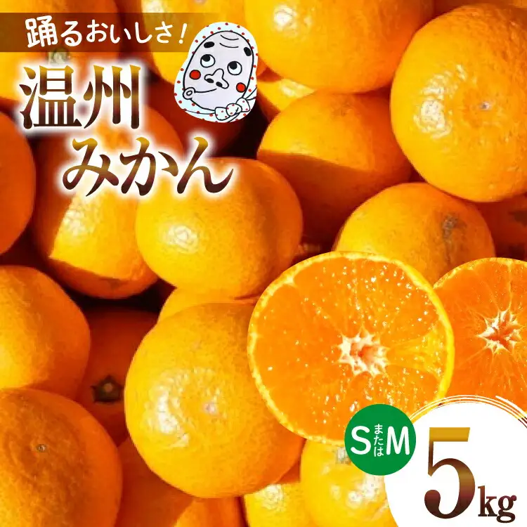 【期間限定発送】踊るおいしさ！甘くてジューシー 温州みかん 5kg [奈須農園 宮崎県 日向市 452061477]
