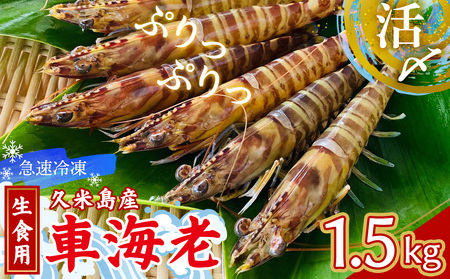  車海老【久米島漁協】活〆冷凍車海老　生食用1.5kg 車えび 海鮮