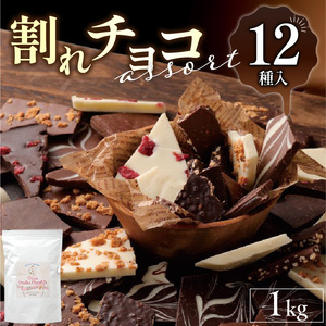 割れチョコアソート 12種（準チョコレート）1kg 〔Dw005〕