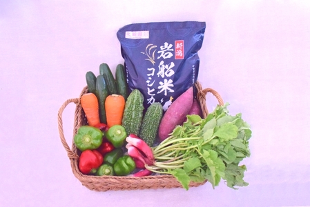 【令和7年産米】新潟県村上市 岩船産 コシヒカリ2kgと季節の野菜セット①　A4031