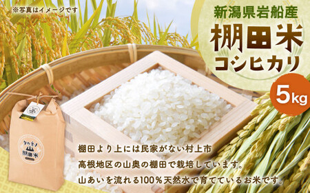 【令和7年産米】新潟県村上市 岩船産 棚田米 コシヒカリ 5kg　A4038