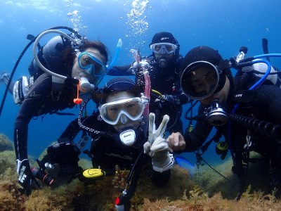 三浦半島城ケ島の海で体験ダイビング M064-001 チケット 体験