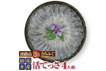 【前拓水産】淡路島3年とらふぐ（活てっさ4人前）【冷凍配送】