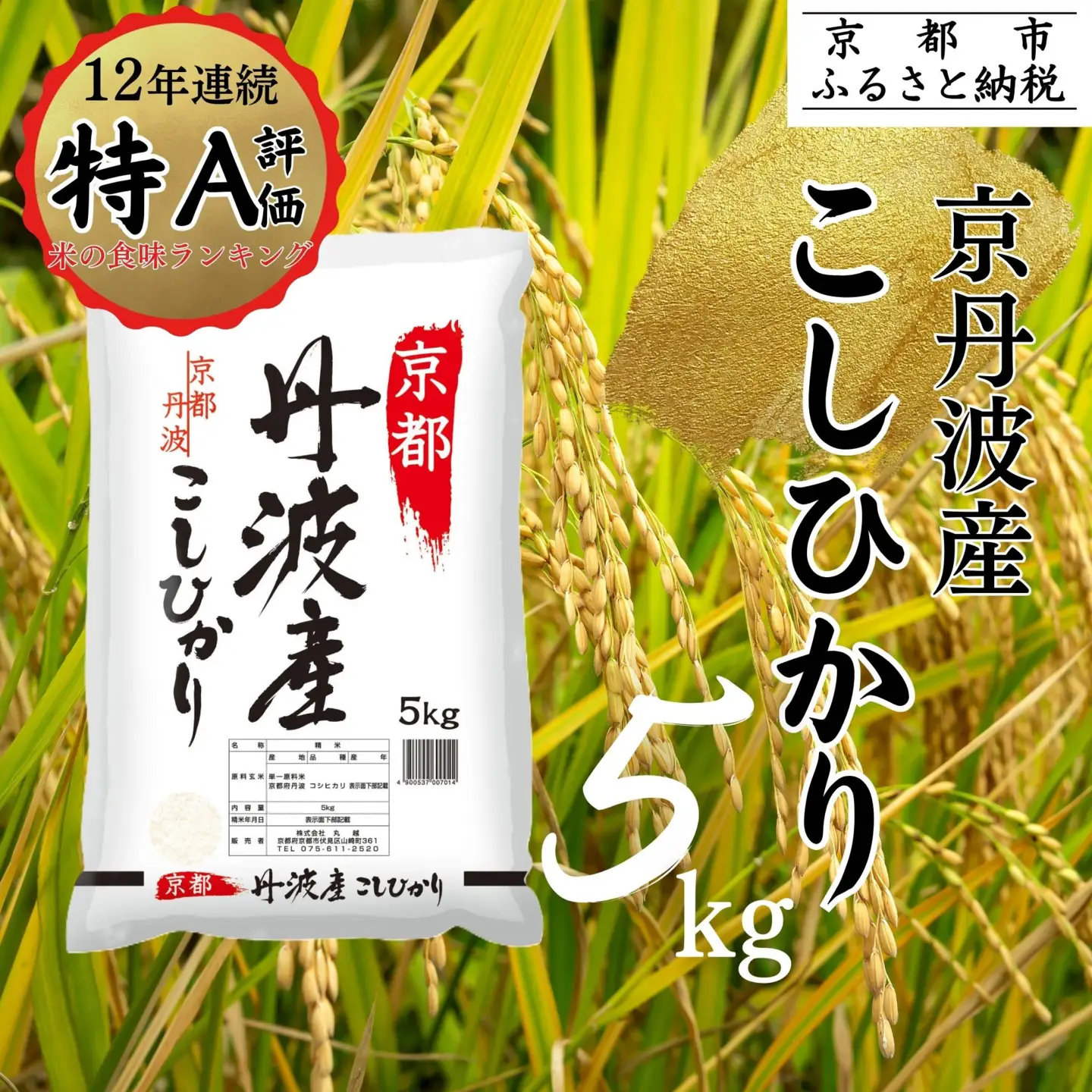 令和7年産  こしひかり 5kg 白米 精米