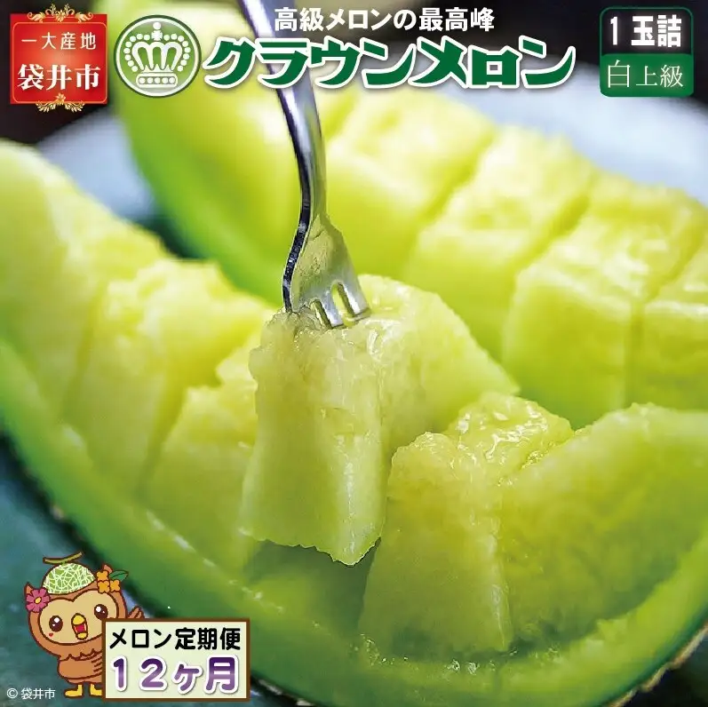 【12ヶ月定期便】クラウンメロン（白上級）1玉入 