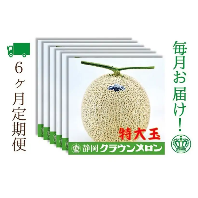 【6ヶ月定期便】クラウンメロン（白等級）特大玉　1玉入 果物類 メロン青肉 