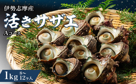 活きサザエ Aコース 1kg（8～12ヶ入り）山金商店 サザエ