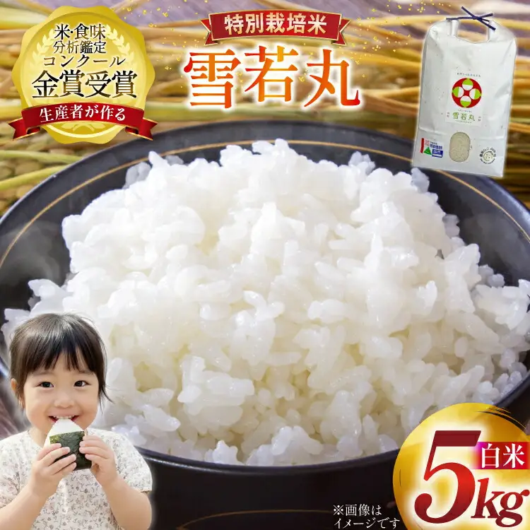 米 令和7年産 雪若丸 5kg 特別栽培米 精米 [農家の蔵出し米生産組合 山形県 高畠町 tk06ays900000]