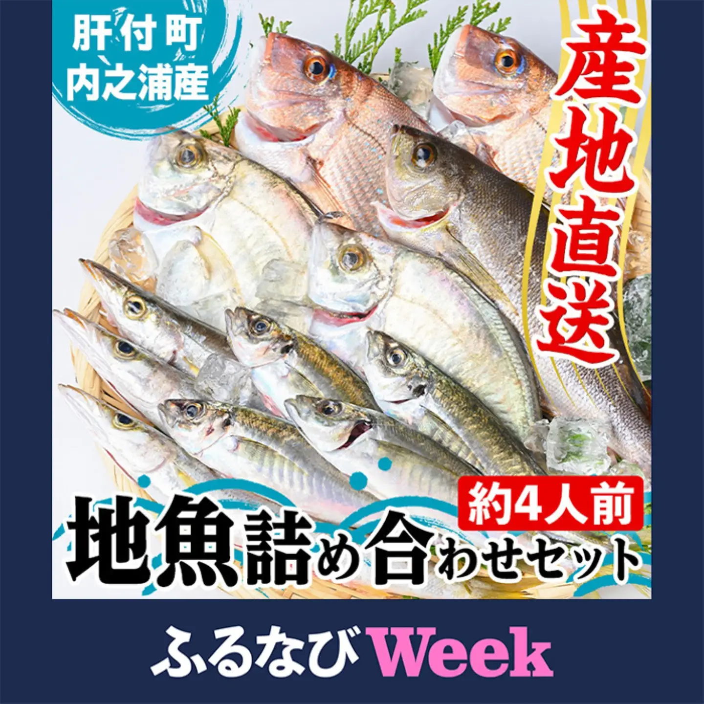 【ふるなびWEEK対象】【A09002】地魚 詰め合わせ セット 約4人分 産地直送 鮮魚ボックス 鮮魚BOX【マルケイ水産】