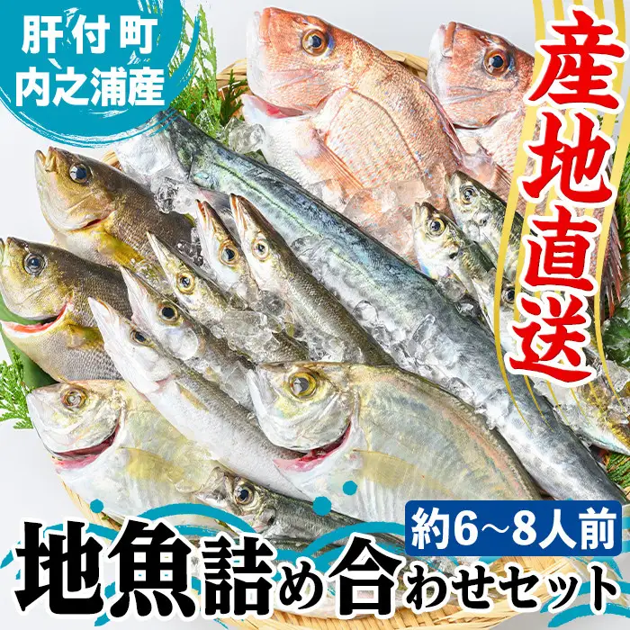 【C09001】地魚詰め合わせセット(約6～8人分) 朝獲れ 鮮魚 地元の魚屋が選別 旬 魚 地魚 さかな 刺身 煮つけ 焼き魚 詰合わせ セット 海産物 国産【マルケイ水産】