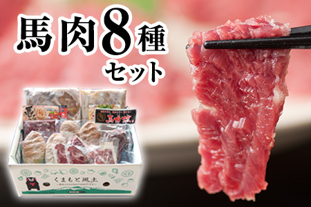 純国産馬肉8種セット 計2200g 《60日以内に出荷予定(土日祝除く)》熊本肥育 2年連続農林水産大臣賞受賞 送料無料 馬刺し 馬肉 馬スジ ホルモン 燻製 霜降り ハンバーグ 熊本県玉東町