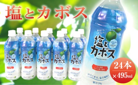 大分県 かぼす飲料 ｢塩とカボス｣ 495ml 24本