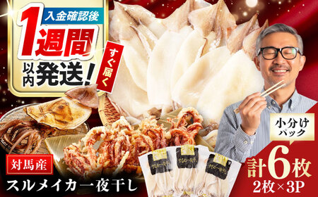 【1週間以内発送】するめイカ 一夜干し 2枚 イカ いか干物[WAC006] スピード発送 最速発送 最短発送