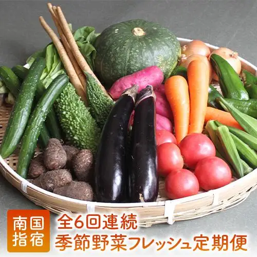 定期便 全６回 季節野菜フレッシュ定期便 岡村商店 IBZ024-001 定期便