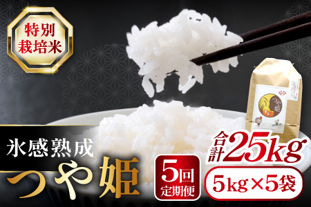 【定期便】氷感熟成「つや姫」定期便(5kg×5回お届け) 【米 定期便 つや姫 お米 5kg 定期 5回 特別栽培米 5kg×5回 合計25kg 島根県産 大田市産 こめ おこめ 氷感熟成 減農薬】