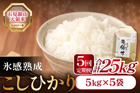 【定期便】石見銀山天領米(5kg×5回お届け)【定期便 定期 5回 コシヒカリ 精米 5kg×5回 合計25kg 島根県産 大田市産 米 氷感熟成 エコロジー米 天領米】
