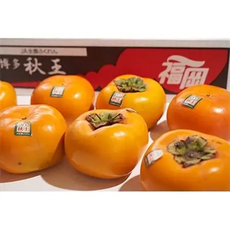 【先行受付】秋王(あきおう)1.5kg箱(4-6玉)(大野城市)_柿 かき カキ 果物 フルーツ ふるーつ くだもの 青果 あきおう 秋王 国産 新品種 産地直送 ブランド オリジナル 冷蔵 限定 高糖度 甘い 希少 送料無料_【配送不可地域：離島】【1092788】