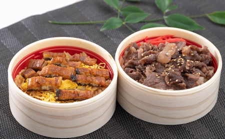 静岡祭丼　おすすめセット A （浜名湖鰻まぶし丼・三ヶ日牛丼 各3食）【配送不可：離島】 加工品 惣菜 冷凍 うなぎ 牛肉 お肉 