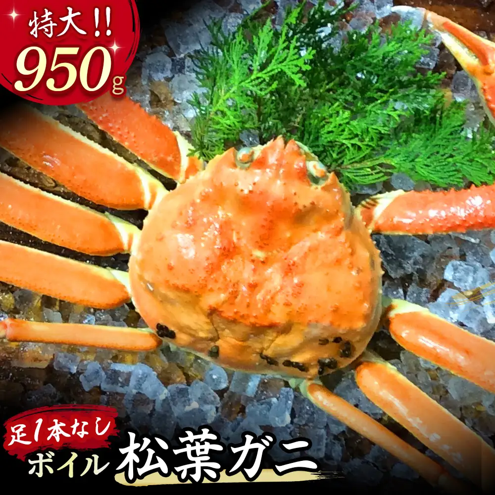 【先行予約】【魚倉】足１本なし ボイル 松葉ガニ （特大950g） 訳あり かに 蟹 カニ