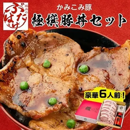 豚丼のぶたはげ「極撰豚丼セット6人前」_肉  豚肉   調味料   _【配送不可地域：離島】【1205705】