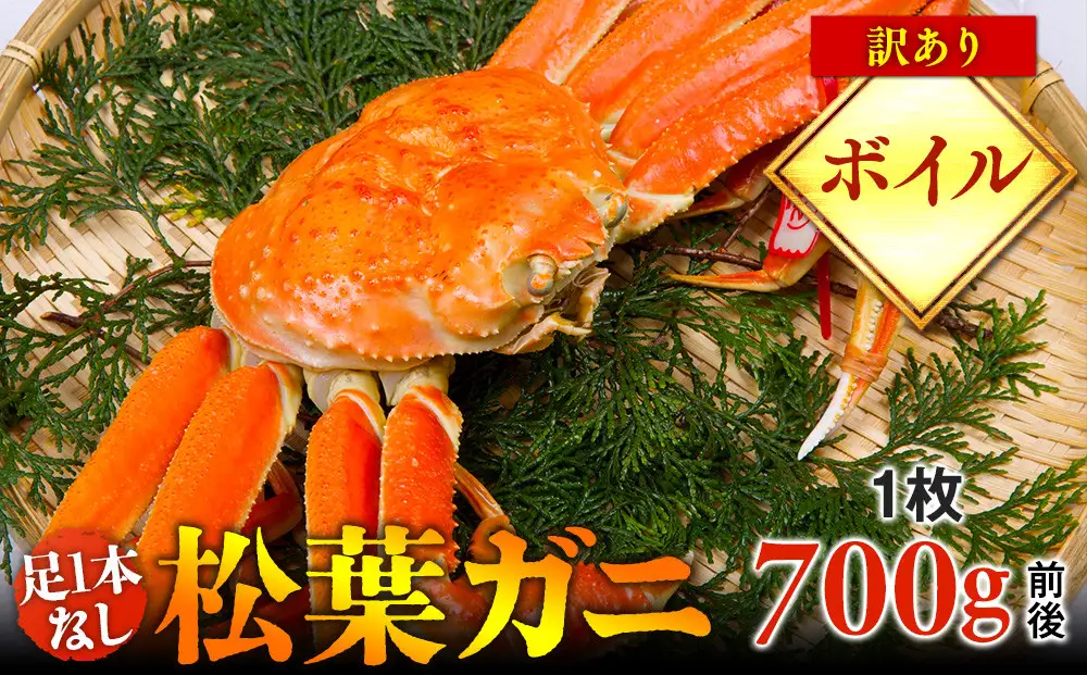 【ボイル】足1本なし 訳あり 松葉ガニ 中1枚（700g前後） | カニ 松葉ガニ タグ付き【着日指定不可】※2026年11月上旬～2027年3月下旬頃に順次発送予定