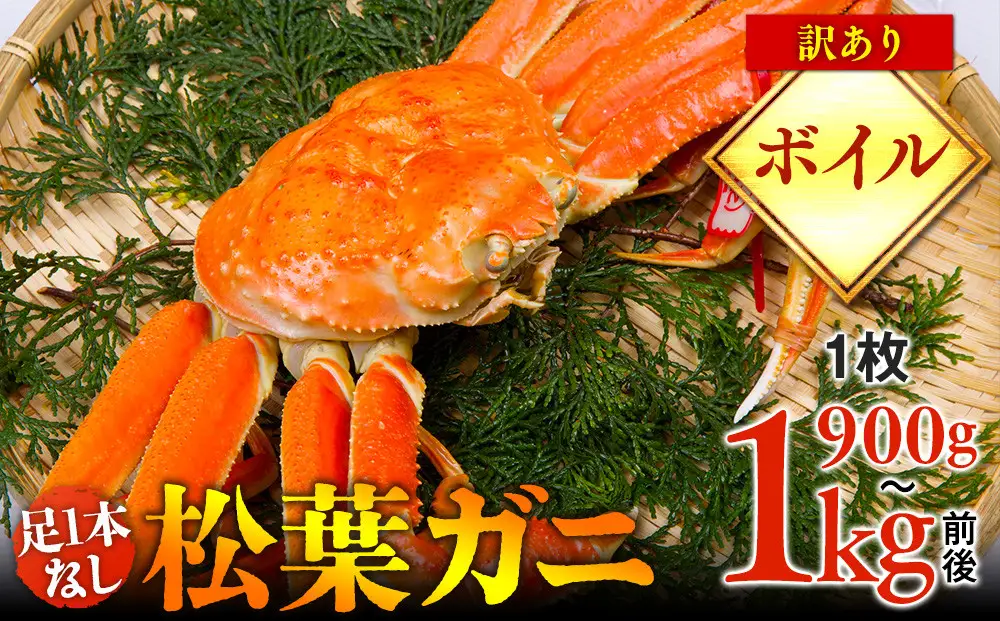 【ボイル】足1本なし　訳あり　松葉ガニ　特大1枚（900g～1kg前後）| カニ 松葉ガニ タグ付き【着日指定不可】※2026年11月上旬～2027年3月下旬に順次発送予定