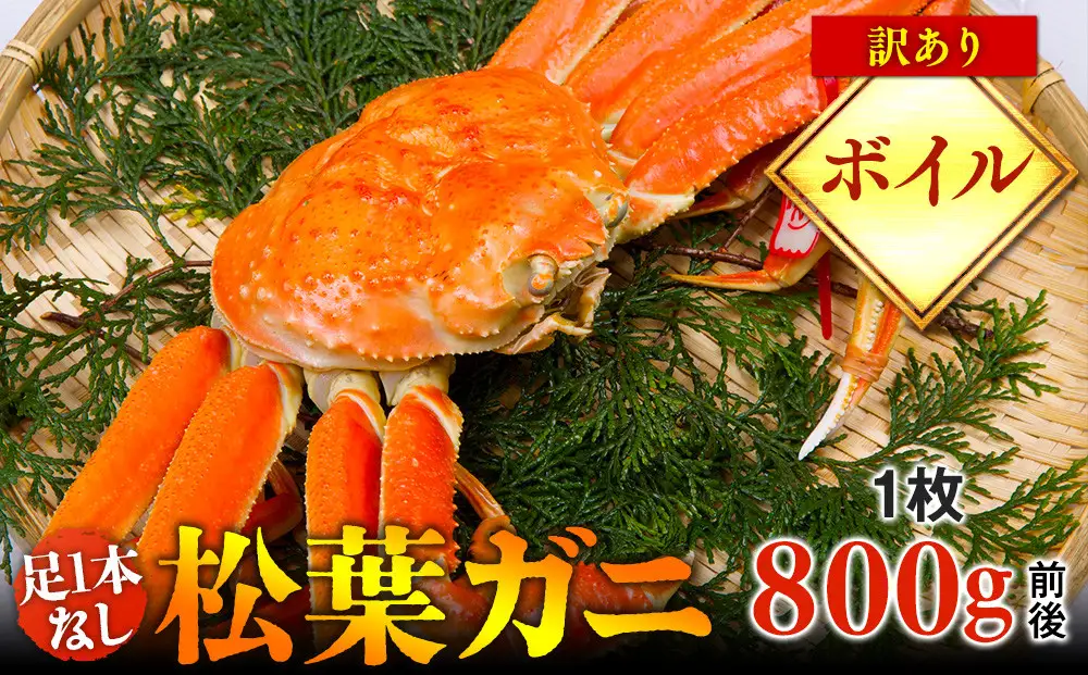 【ボイル】足1本なし 訳あり 松葉ガニ 大1枚（800g前後）| カニ 松葉ガニ タグ付き【着日指定不可】※2026年11月上旬～2027年3月下旬頃に順次発送予定