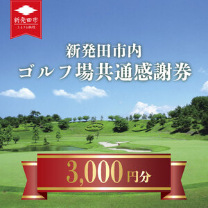 ゴルフ 利用券 3,000円分 ゴルフ場 ゴルフ ゴルフ ゴルフゴルフ ゴルフ A02